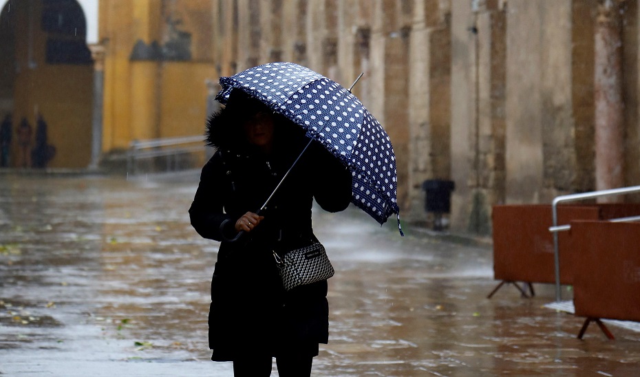 Mujer se protege con un paraguas del viento y la lluvia (EFE).